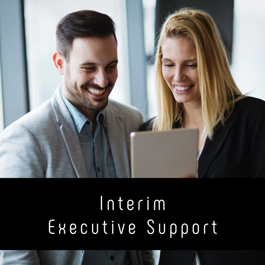 Interim executive support